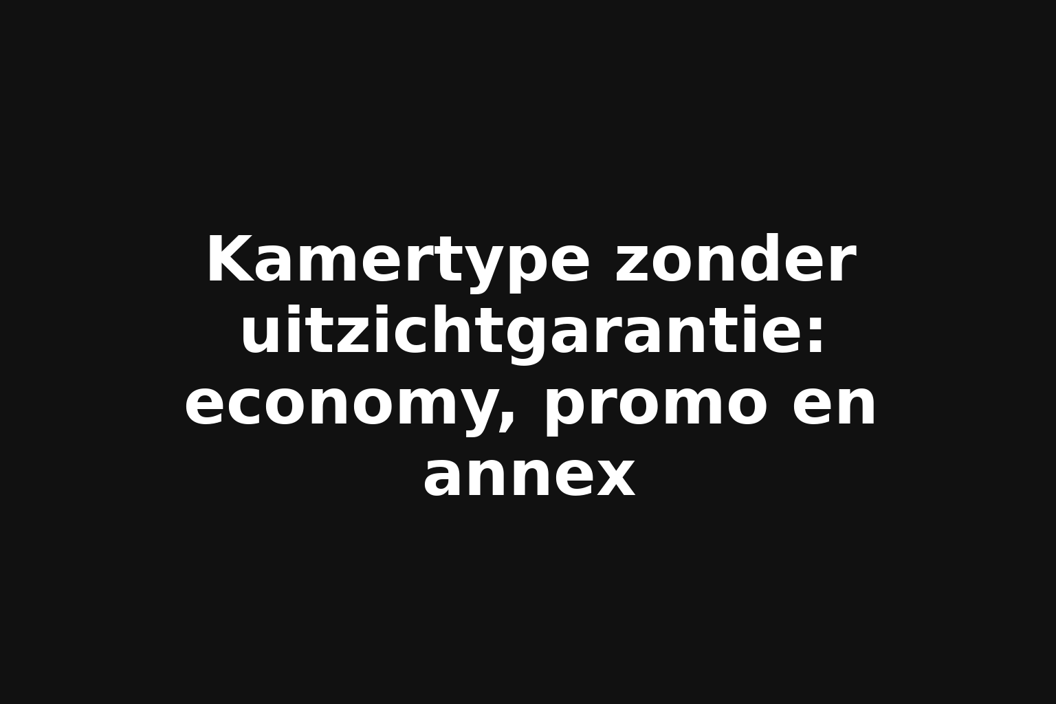 Kamertype zonder uitzichtgarantie: economy, promo en annex